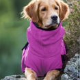 thumbnail image 5 of Velvet Pet Dog Sweater Thick Warm Soft Cute Clothing Cozy Winter Autumn Apparel Fashion Outfit For Small Medium Large Breeds, 5 of 7