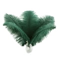 thumbnail image 1 of Materiales para manualidades Plumas de avestruz Ballinger 24 unidades 25-30 cm Verde, 1 of 6