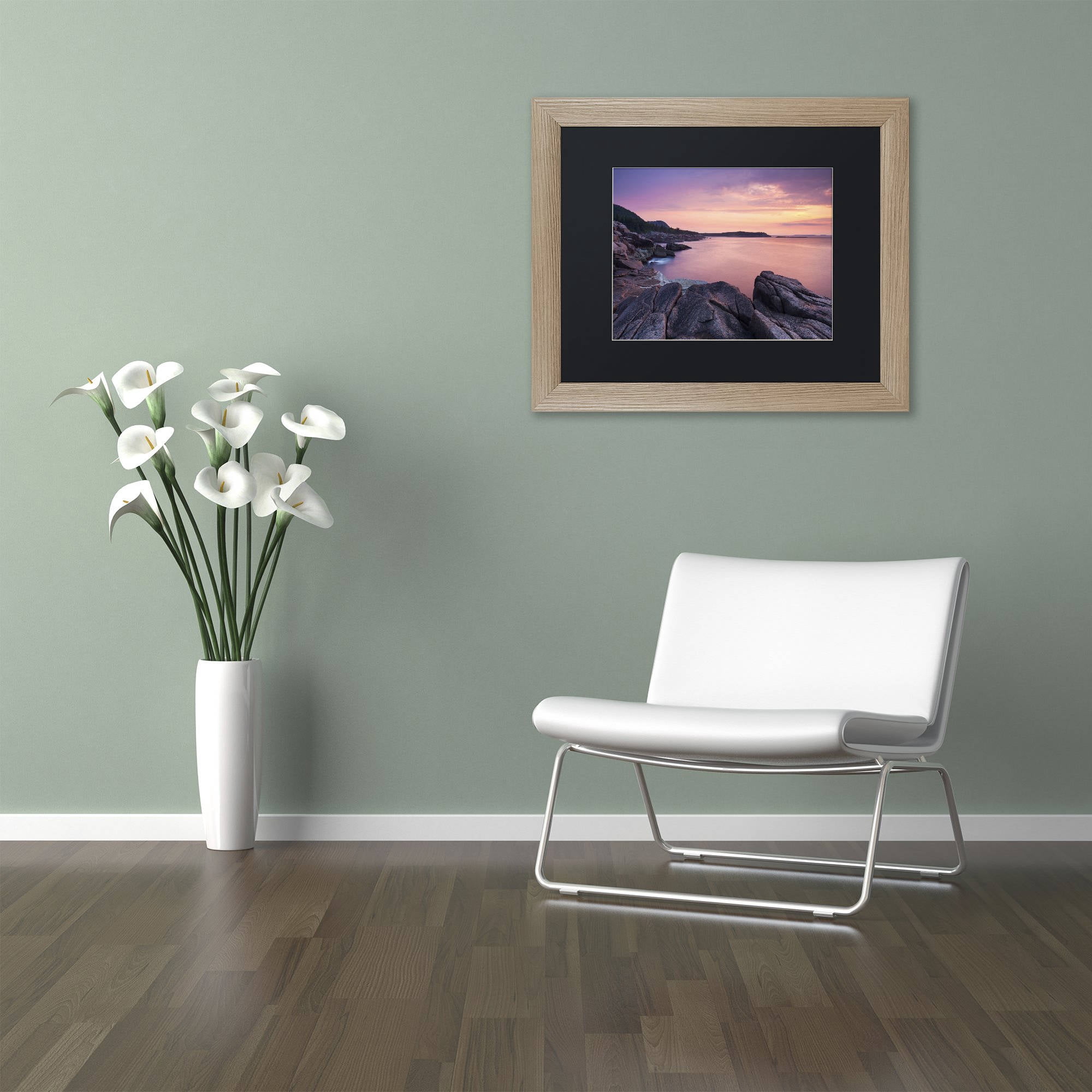 Trademark Fine Art "Pink Dawn" Canvas Art by Michael Blanchette Photography Black Matte, Birch Frame