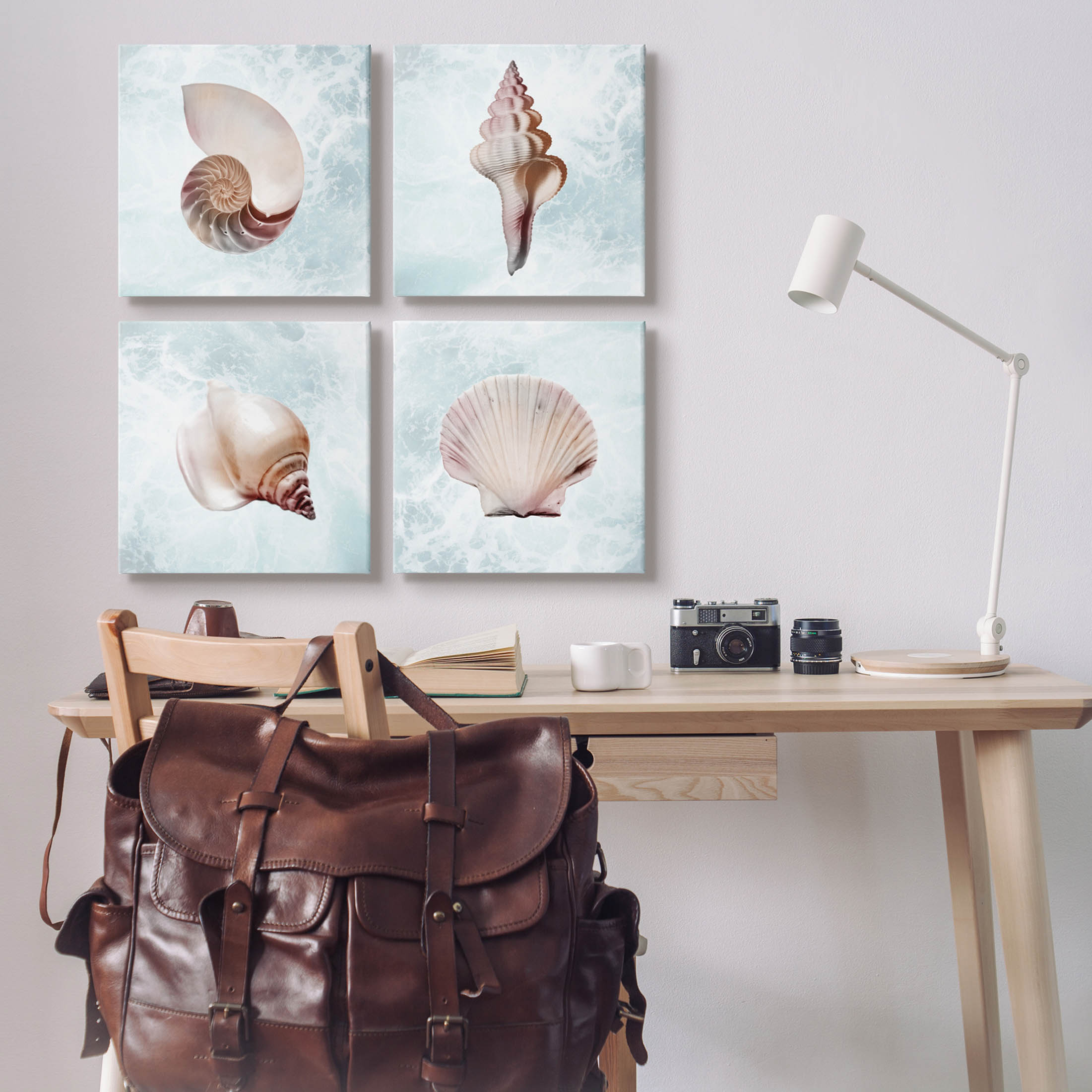 Stupell Industries Underwater Sea Life Shells Graphic Art Gallery Wrapped Canvas Print Wall Art, Set of 4, Design by Marcus Prime