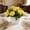 Yellow, variant on Small Fake Plants Artificial Roses Flower Bonsai with Green Leaves Mini Greenery Potted Plants in Plastic Pot for Table Centerpieces Desk Shelf Home Office Decor