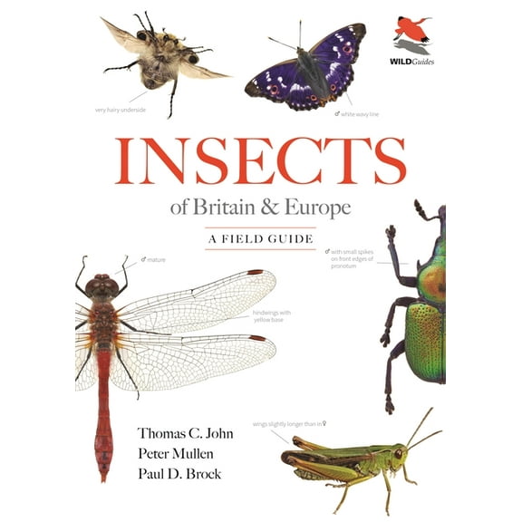 Wildguides Insects of Britain and Europe: A Field Guide, (Paperback)