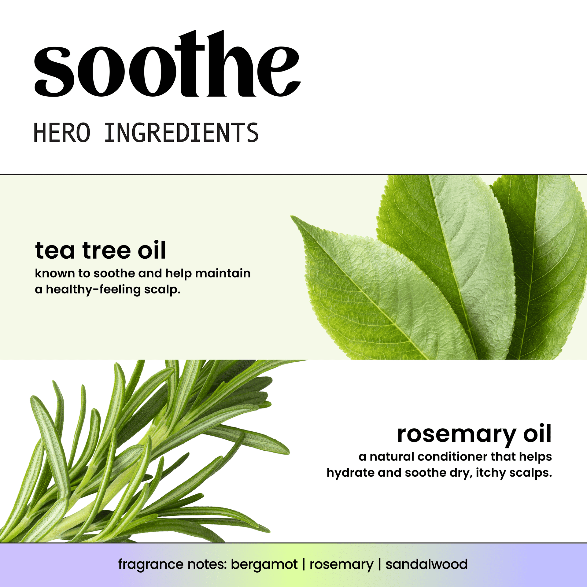 HASK Soothe + Tea Tree Oil Scalp Care Shampoo, 16 fl oz