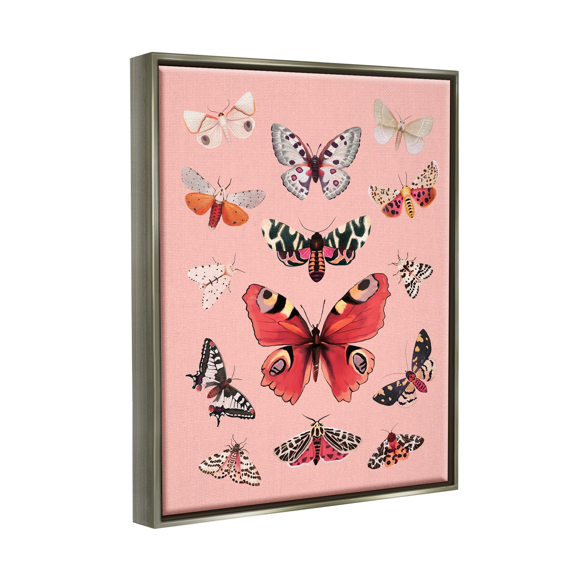Stupell Industries Various Moths on Pink Animals & Insects Painting Gray Floater Framed Art Print Wall Art, 17 x 21