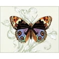 thumbnail image 3 of Davies, Susan 14x12 Black Modern Framed Museum Art Print Titled - Butterfly Theme I, 3 of 5