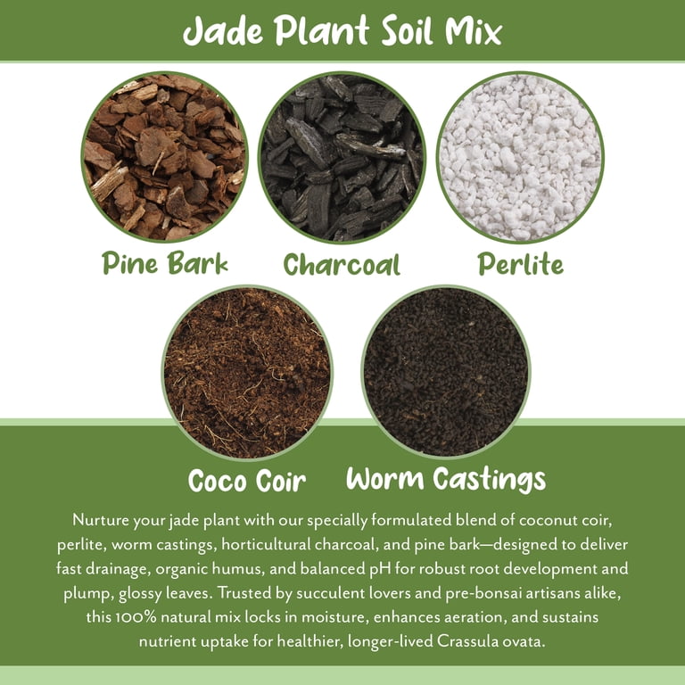 Soil Sunrise Jade Plant Potting Soil Mix 8 Quarts Hand Blended Additive for Jade Succulents