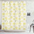 thumbnail image 1 of Ambesonne Spring Shower Curtain, Seasonal Petals with Leaves, 69"Wx75"L, Multicolor, 1 of 3