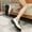 White, variant on Lufly New Small Leather Shoes Female Mary Shoes Thick Bottomed Heightened LeFu Shoes Fashion Thin Single Shoes Female Women's Thick-soled Casual Shoes
