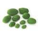 thumbnail image 5 of Simulación de piedra de musgo verde, planta de pared, decoración de bonsái, piedra de musgo falsa para interiores, micropaisaje, adornos DIY, 20 piezas, 5 of 5