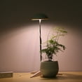 thumbnail image 4 of Growth lamp,Lamp Plant Fill Led Potted Plant 5 Dimmable Indoor Adjustable 5 Dimmable Fill Adjustable 5 Plant Fill Adjustable Potted Plant Lamp Qinquan Dsfen Huiop, 4 of 6