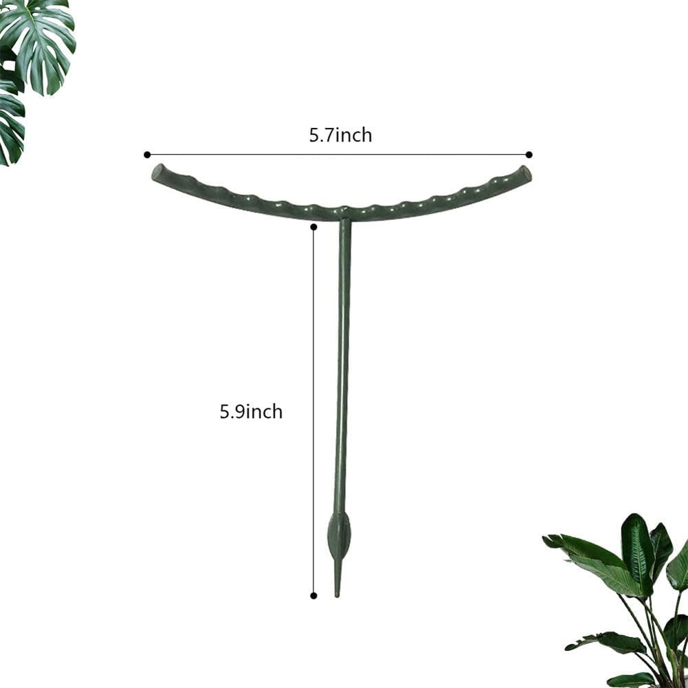 M optimized 6pcs Plant Support Ring Metal Half Round Plant Stakes For Flowers Vegetables Indoor Leaf Plants (14.5 X 15.0 Cm)