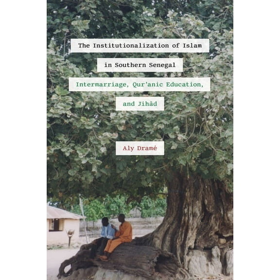 African Perspectives The Institutionalization of Islam in Southern Senegal: Intermarriage, Qur'anic Education, and Jihad, (Paperback)