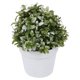 thumbnail image 1 of Simulación de pequeñas plantas en maceta, decoración realista de flores artificiales para el hogar y la oficina., 1 of 5