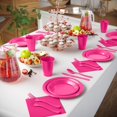 thumbnail image 5 of Exquisite 350 Piece Cerise Plastic Disposable Party Plates & Tableware Combo Set, 5 of 9
