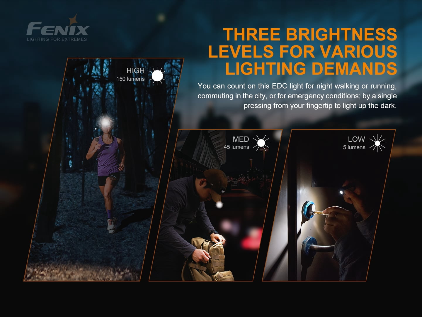 Fenix PD36R Pro 2800 Lumen Rechargeable Flashlight and Mini-Lite Flashlight + LumenTac Organizer