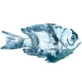 thumbnail image 3 of Vess, June Erica 18x15 Black Modern Framed Museum Art Print Titled - Blue Ocean Fish III, 3 of 5