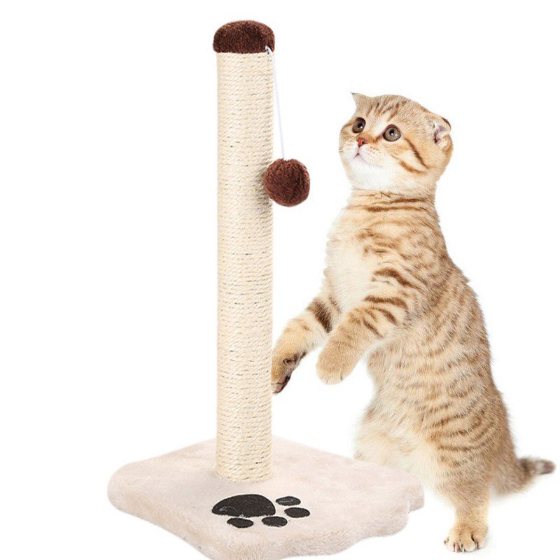 Cat Scratching Post Cat Interactive Toys Cat Scratch Post Cats