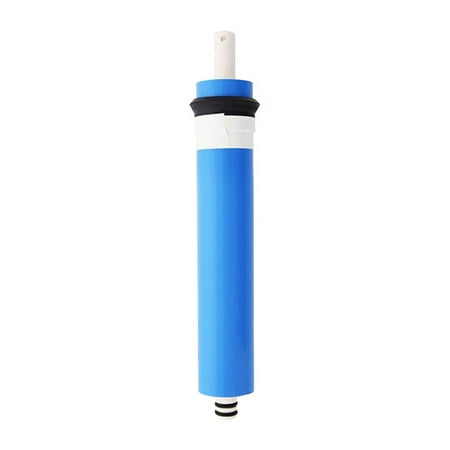 

Replacement RO Filter for iSpring RCS5T / RCW5 (Single Pack)