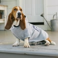thumbnail image 4 of Gap Pet, Dog Clothes, Gray Classic Pet Hoodie, 4 of 9