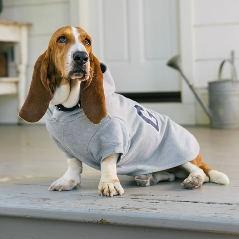 Basset hound top coats and sweaters