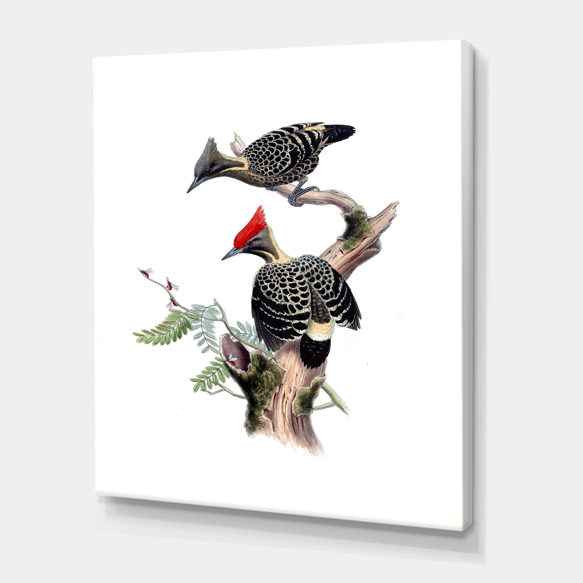 Designart ' Ancient Birds In The Wild VI ' Traditional Canvas Wall Art Print