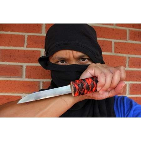 Laminated Poster Assassin Man Deadly Kill Knife Ninja Blade Poster Print 11 x 17