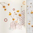 thumbnail image 3 of Vintage Transparente PET Pegatina pack gypsophila Flores Diario Álbum Decoración DIY material Pegatinas, 3 of 4
