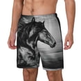 thumbnail image 1 of Fotbe Running Horse Traje de Baño para Hombre – Shorts de Natación de Secado Rápido con Forro y Bolsillos-X-Large, 1 of 6