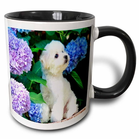 3dRose Adorable Bichon Frise Puppy Among Hydrangeas - Two Tone Black Mug,