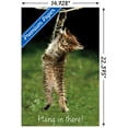 thumbnail image 3 of Famous Kitten Hang In There Poster Wall Poster, 14.725" x 22.375", 3 of 3