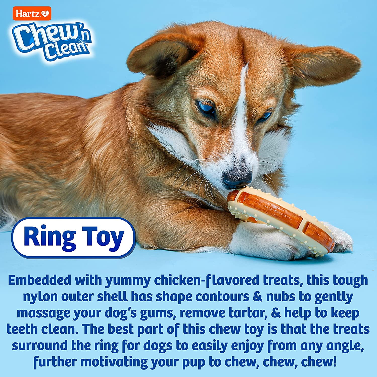 Hartz Chew ‘n Clean Chew Toy and Treat in One Chicken Flavored Ring Dog Toy, Nylon, Medium