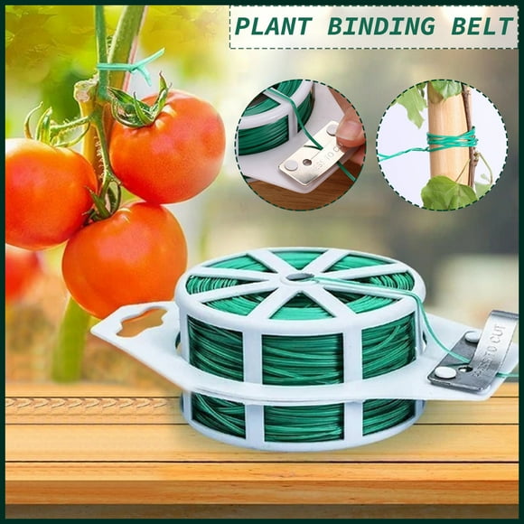 Fiudx Alambre para Jardín, Hierro Recubierto de Plástico, Diseño Resistente y Flexible, Bridas Reutilizables para Plantas, Cables y Más, Color Verde, Longitud de 20 M, 50 M o 100 M, Uso Doméstico Ver