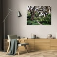 thumbnail image 3 of Alan Hausenflock 18x13 Gallery Wrapped Canvas Wall Art Titled - Sultry Garden I, 3 of 4