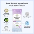 thumbnail image 4 of Toallitas antibacterianas para cuerpo y manos Nurture XL sin alcohol, 4 of 9