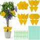 thumbnail image 1 of Pack of 30 yellow stickers Fungus Mosquitoes Yellow traps Fly traps Garden yellow boards Insects for indoor plants Insects for potted plants, 1 of 4
