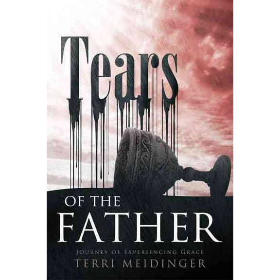 Tears of the Father: Journey of Experiencing Grace (Paperback) by Terri Meidinger