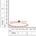 thumbnail image 4 of Gem Stone King 18K Rose Gold Plated Silver Green Peridot Adjustable Bracelet for Women (0.70 Cttw, Round 2.5MM, Gemstone August Birthstone, Fits up To 9 inch Wrist), 4 of 4
