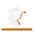 thumbnail image 1 of Chevrolet GM OEM 06-08 Malibu Rear Seat Belt-Center Middle Assy 19180013, 1 of 2