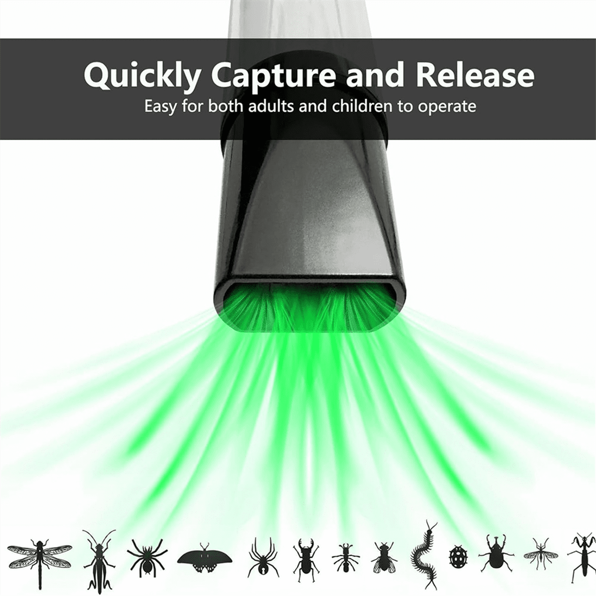 2 Pack Bug Vacuum Catcher for Adults and Kids, Cordless Spider Vacuum Battery Powered Bug Sucker for Home Garden,2 * bug vacuum catcher (without DC 9V battery),Black