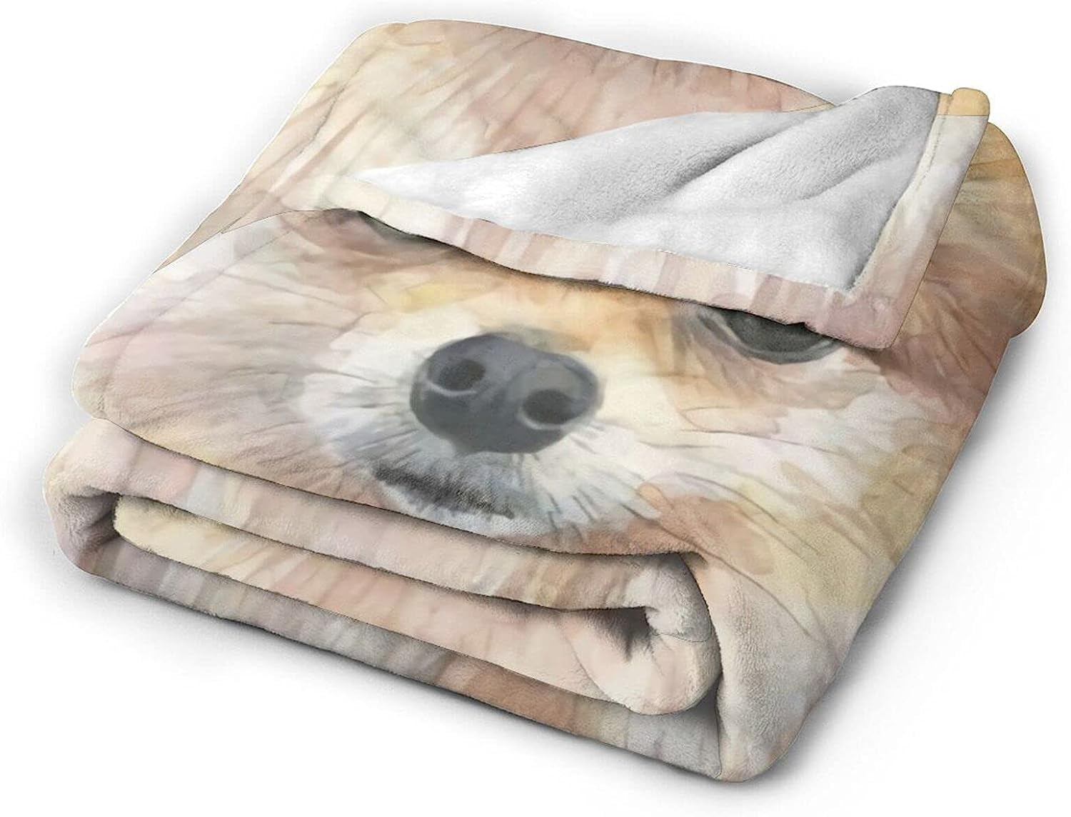 Newhomestyle 3D Flannel Plush Throw Blanket, 80"x60" Pomeranian Watercolor Pom Puppy Dog Cute Animal Painting, Super Cozy Air Conditioning Blanket