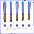 thumbnail image 2 of 5 Pinceles Acrílico Para Uñas Numero 6,8,10,12,14 AZUL, 2 of 5