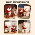 thumbnail image 4 of Summercome Valentines Day Stuffed Animal Bear Plushies,Valentine's Day Bear Plush, Love Teddy Bear Stuffed Animal, Heart Teddy Bear Plush Valentine's Day Gift for Kids Girlfriends, B, 4 of 9