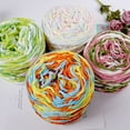 thumbnail image 2 of XmhyTop-A 190g Braided Rope Yarn Soft Colorful Braid Line Chunky Yarn for Blankets Slippers, Polyester Crochet Knitting DIY Craft Yarn,B06, 2 of 4