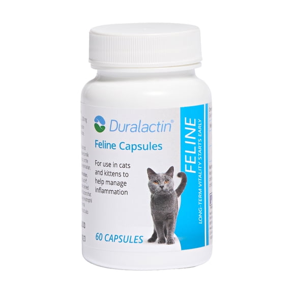 PRN Pharmacal Duralactin Feline - Joint Health Supplement for Cats & Kittens Supports Chronic Soreness, Joint Health & Overall Wellness - Gelatin Capsules Containing Dried Milk Protein - 60 Capsules