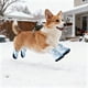 thumbnail image 2 of Zapatos de invierno de forro polar para perros, suela de goma antideslizante, tallas 1-5 para cachorros pequeños y medianos, 2 of 4