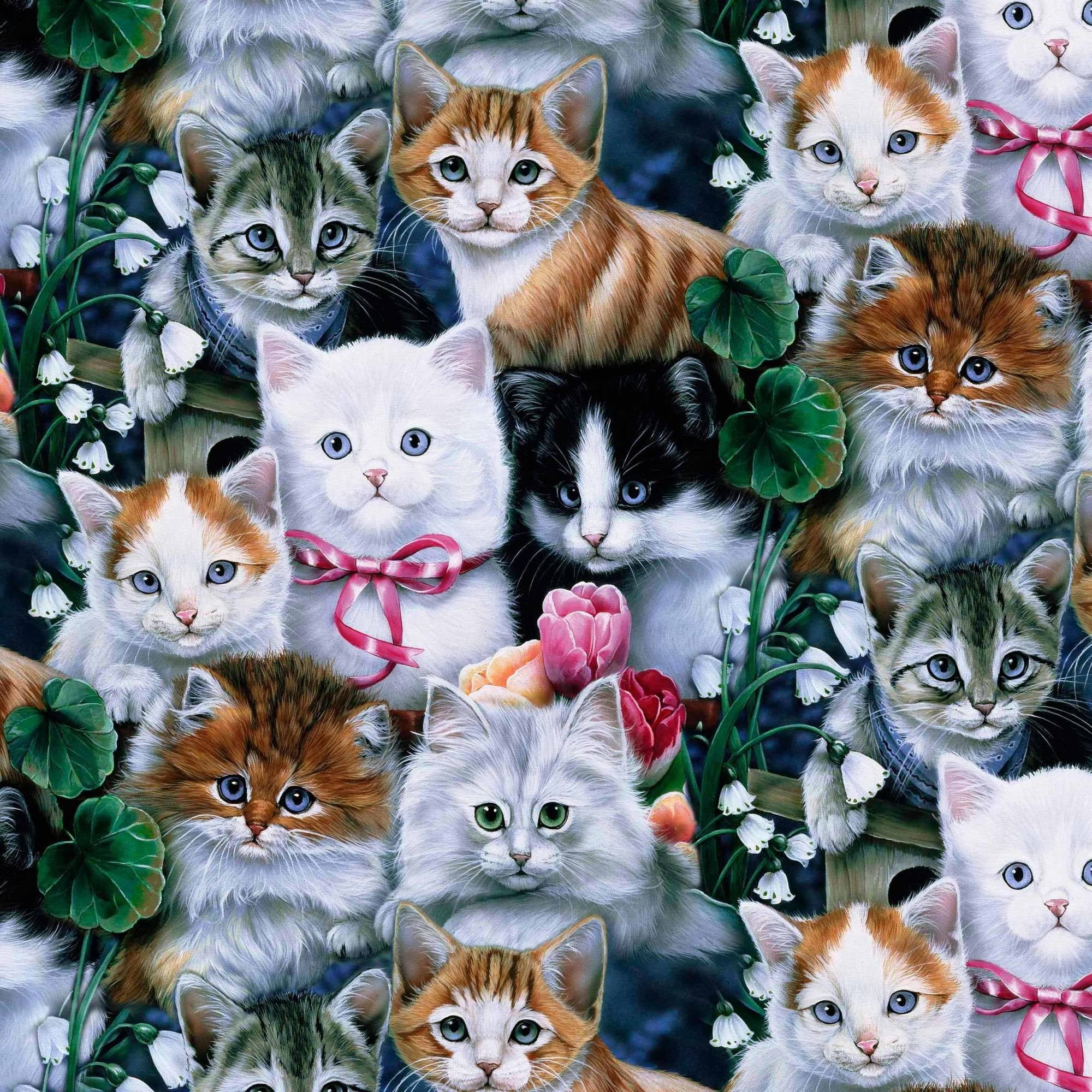 Ткань кошки купить. Принты с кошками. Ткань с котиками. Ткань с кошечками. Рисунок на ткани кошки.
