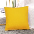 thumbnail image 2 of PiccoCasa 2Pcs Viscose Velvet Soft Decorative Throw Pillowcases 24"x24", Solar, 2 of 7