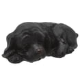 thumbnail image 4 of EXHUMKY 1Pack Resin Key Hider Box for Home Security Black Outdoor Use Garden Accessory Puppy, 4 of 8