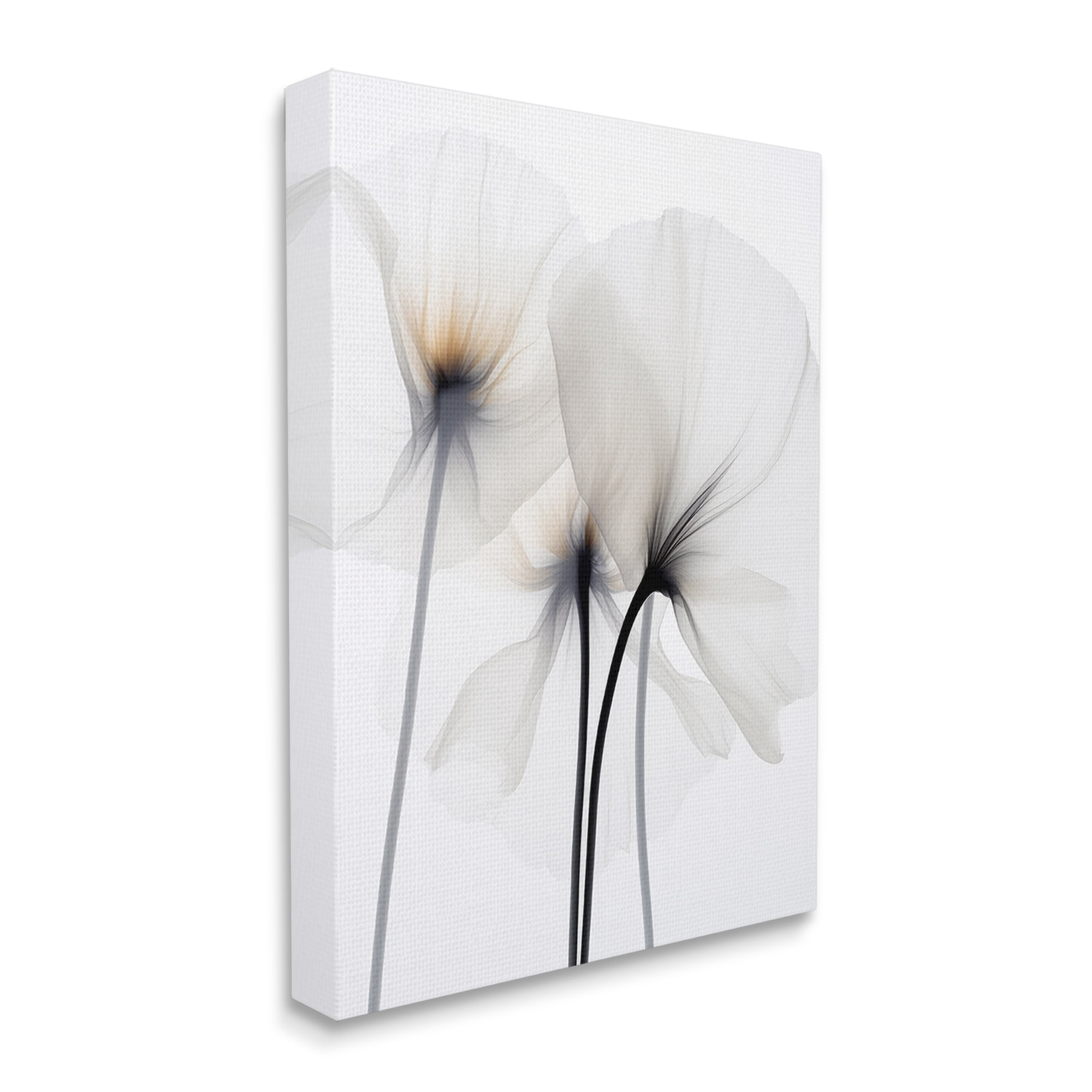 Stupell Industries White Poppy Photography Botanical & Floral Photography Gallery Wrapped Canvas Art Print Wall Art, 24 x 30