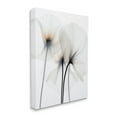 thumbnail image 4 of Stupell Industries White Poppy Photography Botanical & Floral Photography Gallery Wrapped Canvas Art Print Wall Art, 30 x 40, 4 of 8